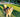How Long Do Yak Chews for Dogs Last?