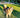 Longest Lasting Yak Chews for Dogs: What to Know